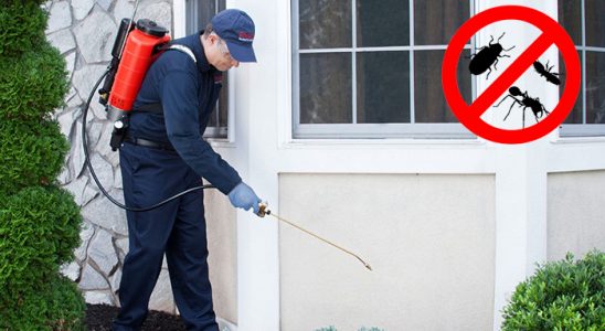 Eskipazar Böcek İlaçlama böcek ilaçlama ve haşere kontrolü — ilaclama-tr.com